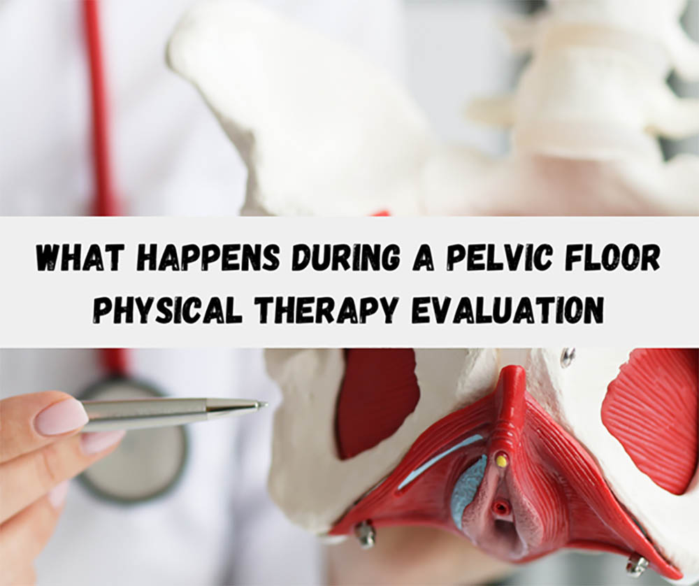 What Happens During A Pelvic Floor Physical Therapy Evaluation Vitality Therapy And Performance 9024