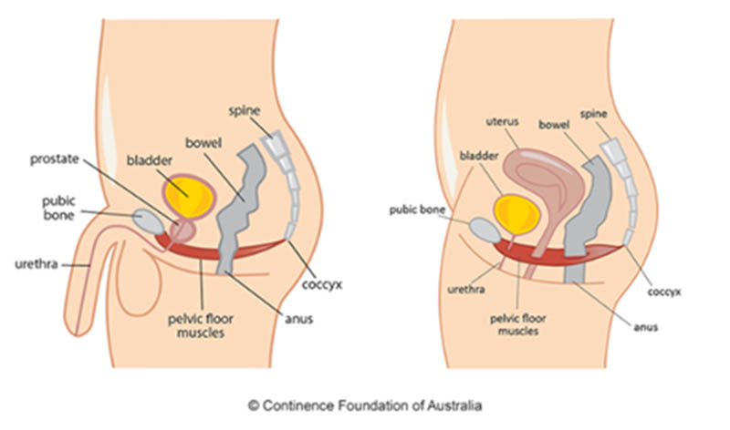 incontinence is inevitable after I have had a baby