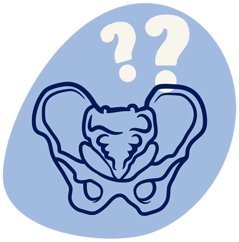 A stylized illustration of a pelvic bone with two question marks above it, all set against a solid light blue background, emphasizing physical therapy and pelvic health.