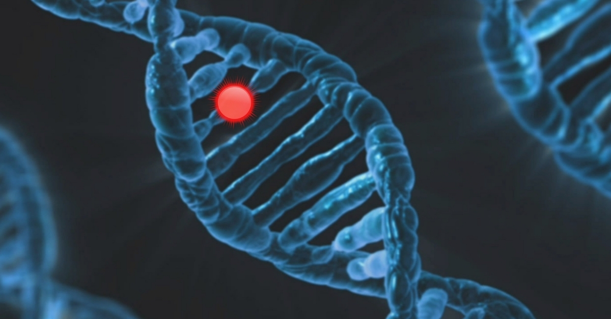 what is functional medicine